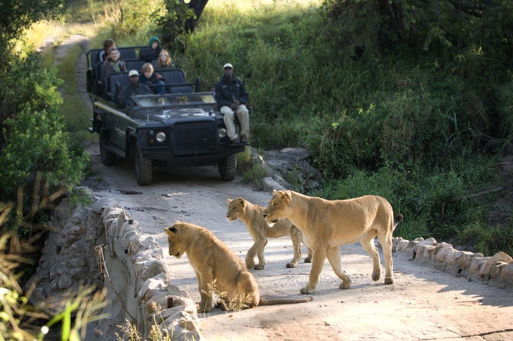 Lion Sands River Lodge محمية سابي ساند الطبيعية المظهر الخارجي الصورة